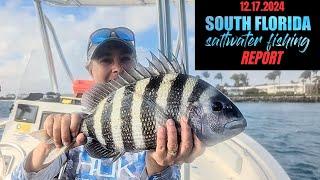 SOUTH FLORIDA SALTWATER FISHING REPORT (12/17/2024)