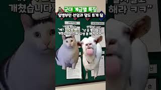 군대 계급별 특징 #shorts #군대