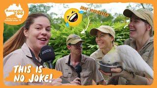 We ran out of ideas...so here's some animal jokes  | Australia Zoo Life