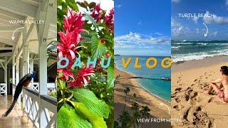 Exploring Oahu, Hawaii: Dole Plantation, Local Food & Hale'iwa Town