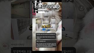 여덟 번째 인천 30평대 구축 아파트 리모델링 인테리어 _ 화장실 타일 #인테리어 #shorts