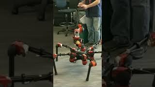 HEBI Hexapod by HEBI Robotics #shorts