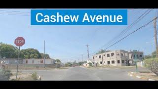 Cashew Avenue, Portmore Pines, Portmore, St Catherine, Jamaica