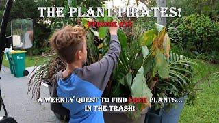 Finding FREE Plants in the trash! The Plant Pirates Episode #78