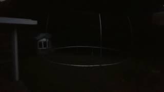Koda, the arctic fox, playing at night