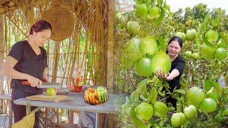 Villager Harvesting Guava Fruits Goes To The Market Sell | Best Tips To Make Guava Cake| Ly Thi Hong