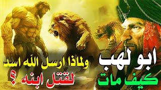 قصة أبي لهب اول عدو فى الإسلام وكيف امـ,اته الله ؟ ولماذا ارسل الله اسد لابنه عتيبه لقتــ,لـة | فطرة