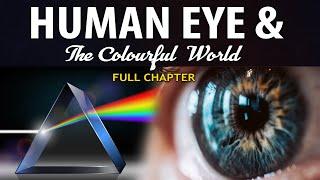 Human Eye and Colourful World  Full chapter  (Animation) | Class 10 Science Chapter 11 | CBSE