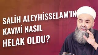 Sâlih Aleyhisselâm'ın Kavmi Nasıl Helak Oldu?