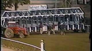 Spectacular Bid - 1980 Woodward Stakes (CBS)