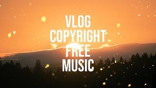 [No Copyright Music] Chill Vlog BGM | Sappheiros - Lights | Vlog No Copyright Music