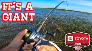 I CAN'T BELIEVE HOW MANY GIANTS I HOOKED!! (Okeechobee Toyota Series)