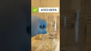 #форвет #новинка #лосьон #лаборатория #животные #шпиц #померанскийшпиц