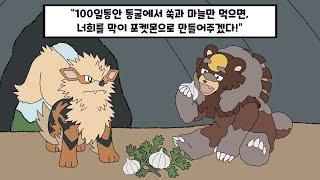 신이 내린 단단함!! "물리막이 다투곰"을 사용해보자! (실전배틀) [포켓몬스터]