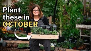 OCTOBER PLANTING GUIDE: Top Veggies, Flowers, and Herbs for Your Fall Garden