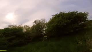 Betaflight 4 2 rc1  test Armattan Marmotte