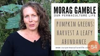 Pumpkin Greens: Harvest a Leafy Abundance