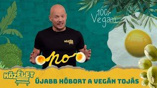 Vegán tojás? | KözÉlet #007