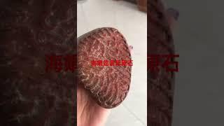 大马坎水石天然红翡无优化小万价 #原石 #翡翠 #翡翠手鐲 #翡翠原石 #a货翡翠 #缅甸翡翠 #翡翠原石直播 #翡翠定制 #翡翠直播 #a货缅甸翡翠