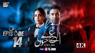 Aye Ishq e Junoon Episode 14 | Ushna Shah | Sheheryar Munawar | 24 Dec 2024 | ARY Digital