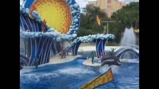 Compra tu casa en Orlando