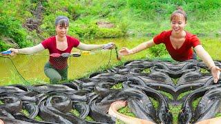 Harvesting A Lot Of Catfish Goes To The Market Sell - Raising Chickens And Duck