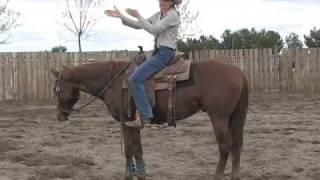 Christina Allen: Cow Horse Trainer