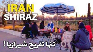 IRAN 2023 - Friday Walk in Health Sidewalk , Maali Abad Shiraz پیاده روی در شمال شهر شیراز