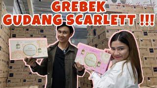 GREBEK GUDANG SCARLETT !!! | FELITOGETHER FAMILY