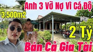 NHÀ VƯỜN NHÀ NGỘP BÌNH CHÁNH- 3.500m2 Chợ Bình Chánh Chỉ 5 Phút - Anh Chủ Lỡ Tay Theo Mạnh QUÁ 