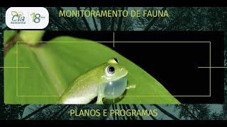 Cia Ambiental - monitoramento de fauna