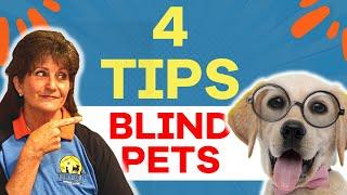 How to Care for a Blind Dog at Home