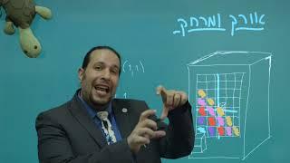 ארז שיינר מציג - נורמה ומרחבים נורמיים