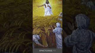 #ИИСУС #ХРИСТОС. Притча о жатве #Евангелие #НовыйЗавет #Библия @ХРИСТОЛЮБ ️ @ВЕГАН  #shorts