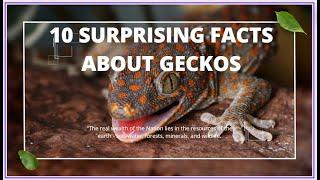 10 Surprising Facts About Geckos