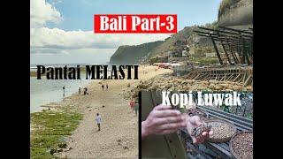 KOPI LUWAK BALI YANG TERKENAL & CARA PEMBUATAN | WISATA PANTAI MELASTI KEREN | Kaliling Bali Part 3