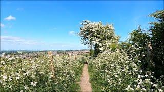 Virtual Walk - Carisbrooke Cemetery To Newport Town Centre - Isle Of Wight - May 2020 | kittikoko