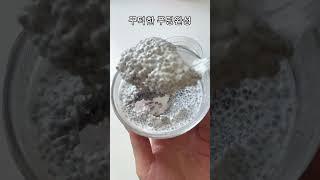 치아씨드푸딩 만들기‍️ 맛있는데 영양도 만점 #chiapudding #chiaseedsforweightloss #chiaseedpudding