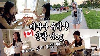 캐나다 유학vlog / 4층짜리 캐나다 집에서 살기~! 처음 피자 주문도 해보고 집에서 스파게티도 만들고~ 평화로운 캐나다 생활!│헬로음이유니