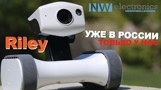 Лучший Wi-Fi робот Райли. Appbot Riley. Собака-робот.