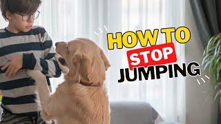 How to Train Your Dog to STOP Jumping On Guests