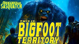 Bigfoots Territory: Is The Shenandoah Valley home to Sasquatch?