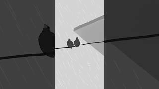 bird #nark