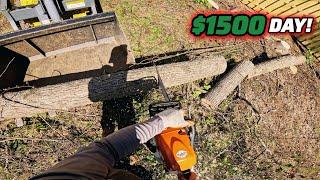 I Got Paid $1500 To Sub-Contract For Another Company! - Day In The Stump Grinding / Skid Steer Biz!