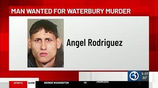 Waterbury murder suspect identified