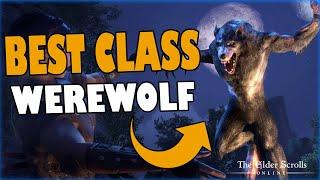 ESO - What's the BEST class for WEREWOLF and WHY?!