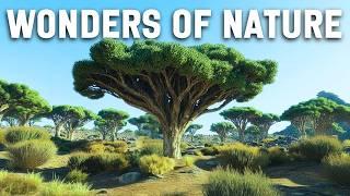 WONDERS OF NATURE | The Most Unbelievable Wonders Nature in Planet Earth #travel #4k #nature