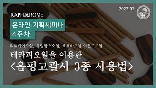 라파롬 골라쓰는 테라피오일- 마사지오일4종 - 우드괄사3종의 활용법 괄사만잘써도 금손명찰 달 수 있어요~