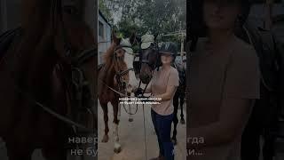 #horse #лошади #жеребенок #equestrian #humour #лошадимояжизнь #мерин #лошадь #vet