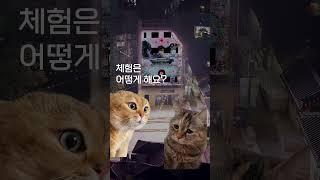 돈의문박물관마을 체험 예약은 했나요?